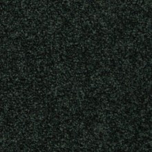 riva 790